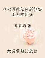 企业可持续创新的实现