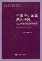 中国中小企业成长研究