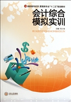 会计综合模拟实训