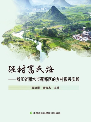 强村富民路——浙江省