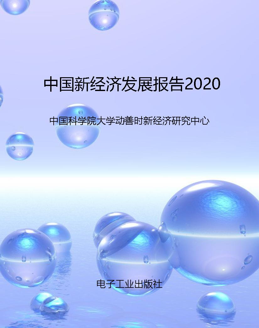 中国新经济发展报告20