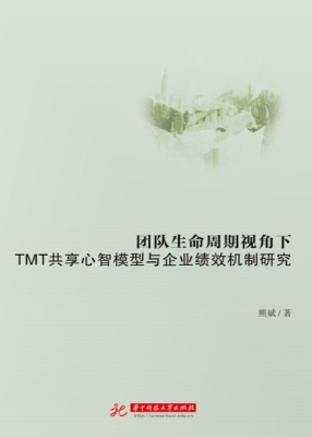 团队生命周期视角下TM