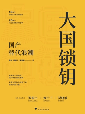 大国锁钥：国产替代浪潮