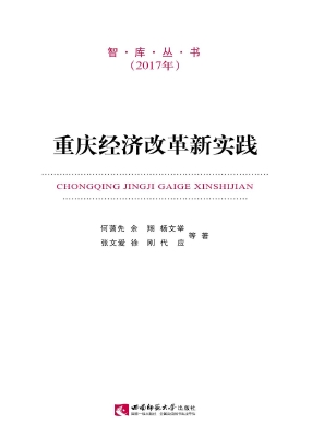 重庆经济改革新实践（20