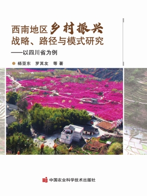 西南地区乡村振兴战略