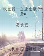 钱生钱—企业金融手册