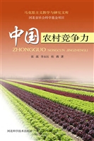 中国农村竞争力