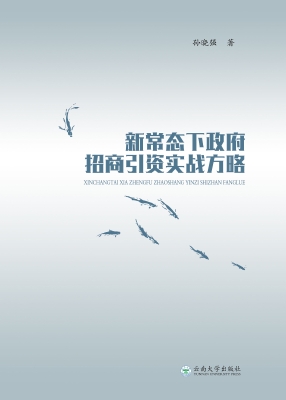 新常态下政府招商引资