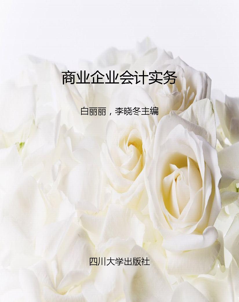 商业企业会计实务