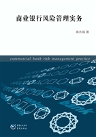 商业银行风险管理实务