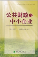公共财政与中小企业