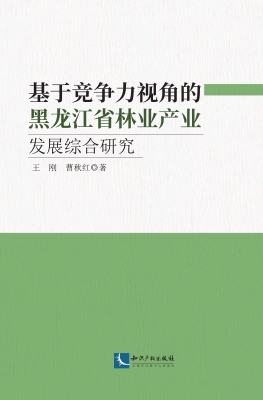 基于竞争力视角的黑龙