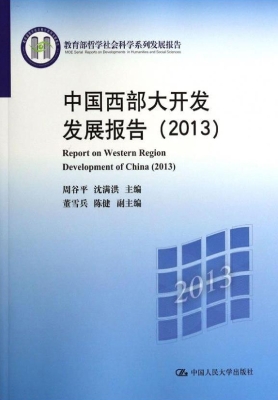 中国西部大开发发展报