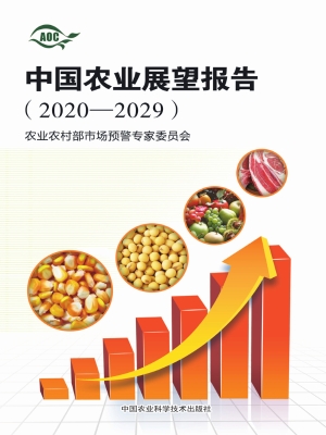 中国农业展望报告（2020