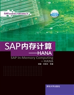 SAP内存计算——HANA
