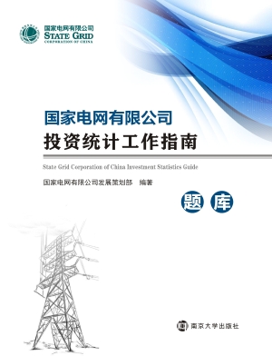 国家电网有限公司投资
