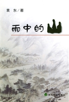 雨中的山