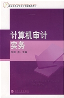 计算机审计实务