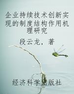 企业持续技术创新实现