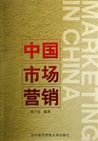 中国市场营销