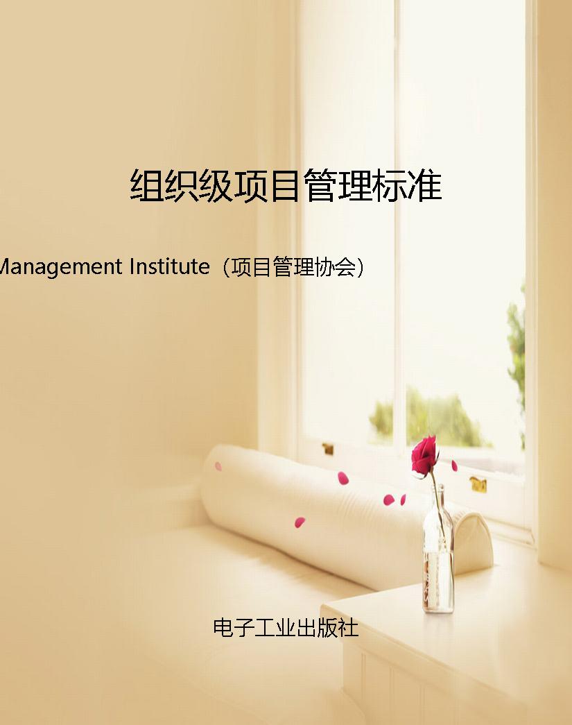 组织级项目管理标准