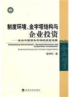 制度环境、金字塔结构