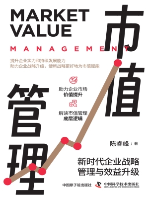市值管理：新时代企业战