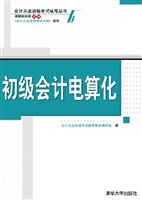 初级会计电算化