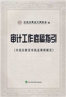 审计工作底稿指引