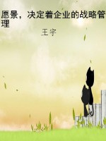 愿景，决定着企业的战略