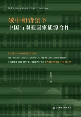 碳中和背景下中国与南