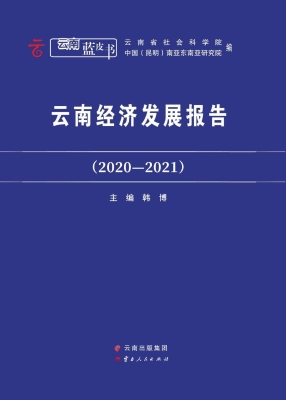 云南经济发展报告（2020
