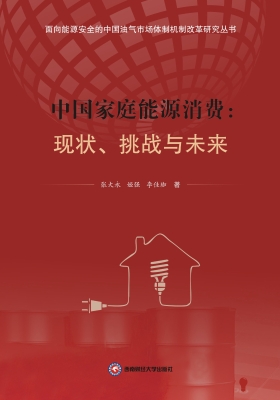 中国家庭能源消费：现状
