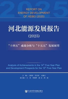 河北能源发展报告（2025