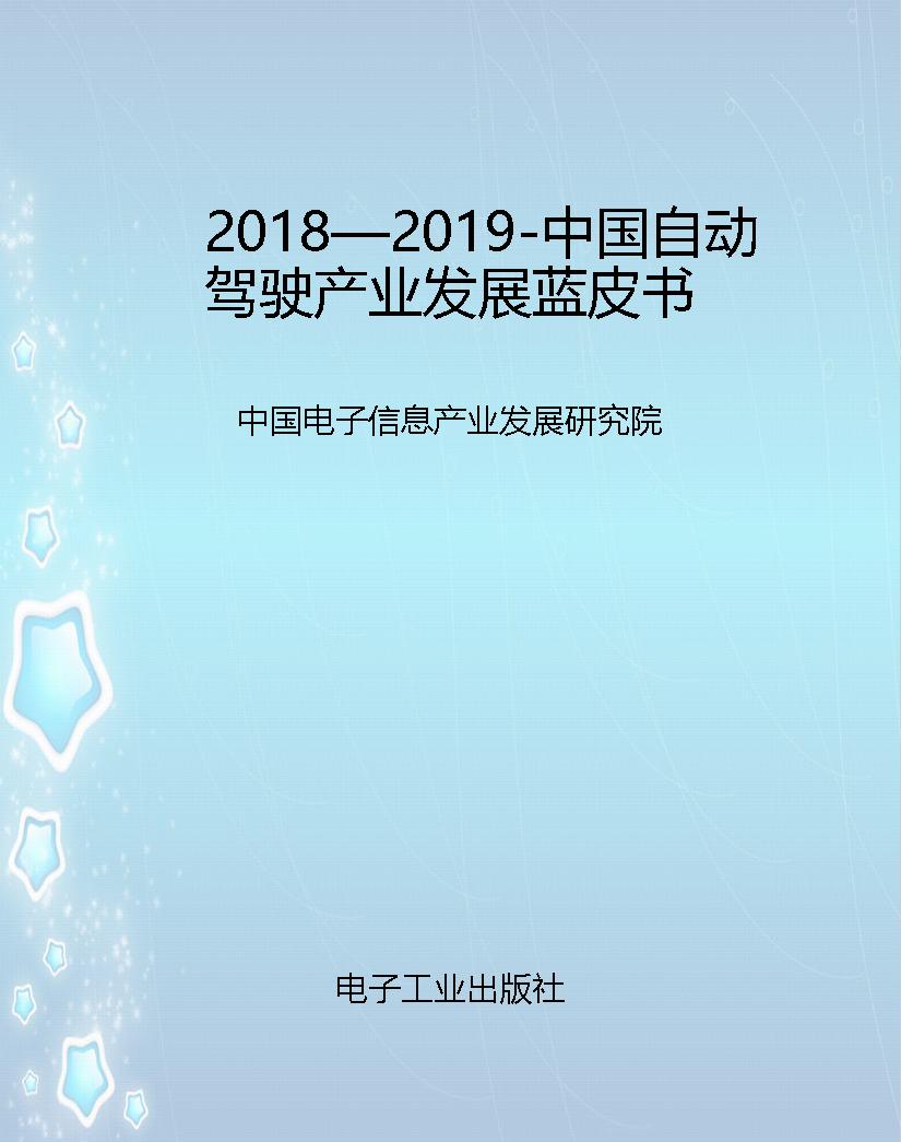 2018—2019-中国自动