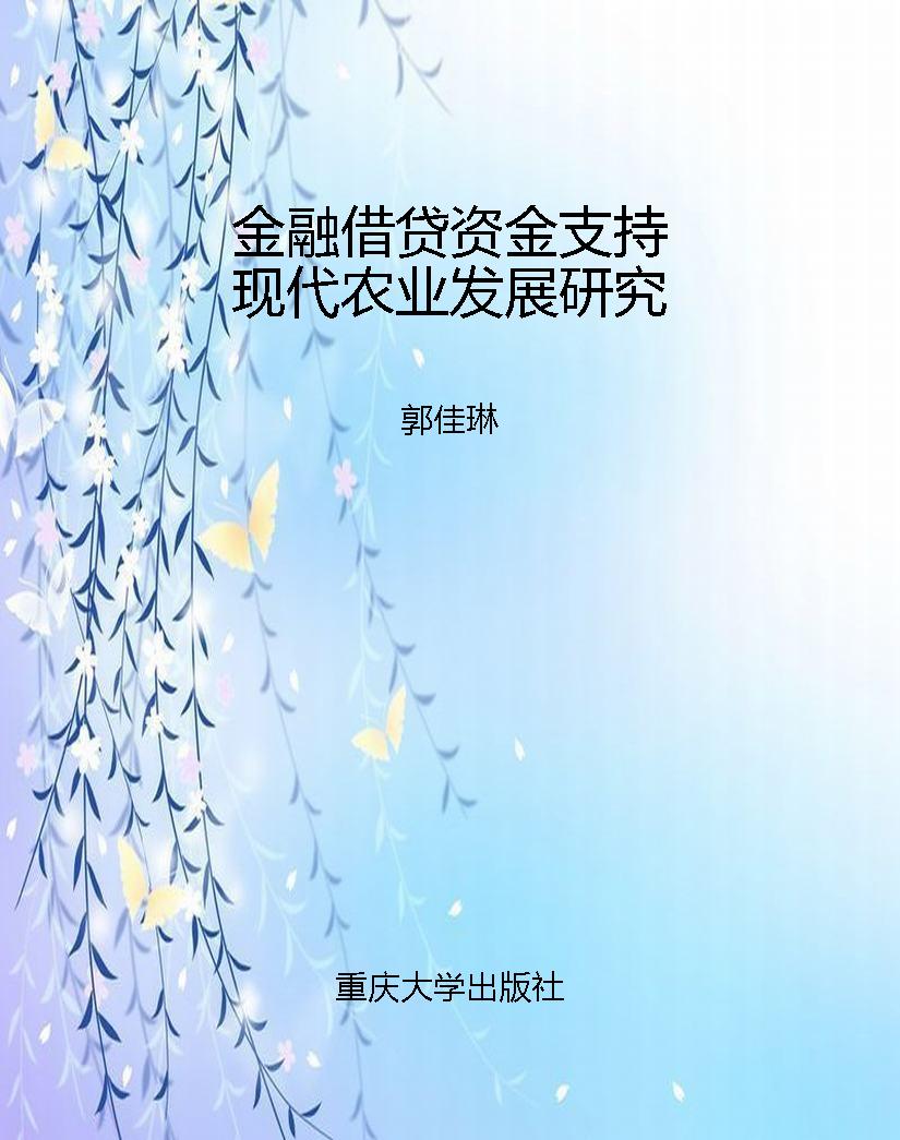 金融借贷资金支持现代