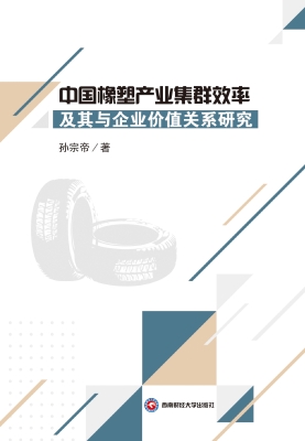 中国橡塑产业集群效率