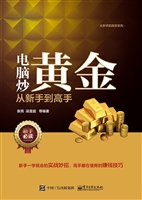 电脑炒黄金从新手到高