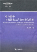 电力竞争与我国电力产