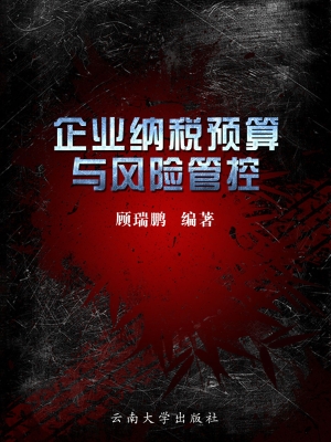 企业纳税预算与风险管