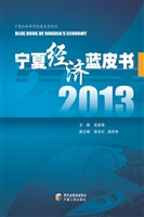 2013宁夏经济蓝皮书