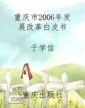 重庆市2006年发展改革