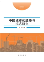 中国城市化道路与模式
