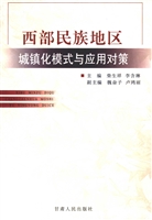 西部民族地区城镇化模