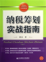纳税筹划实战指南