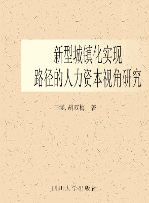 新型城镇化实现路径的