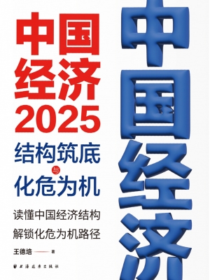 中国经济 2025：结构筑