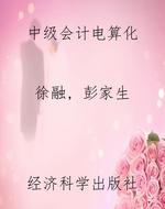 中级会计电算化