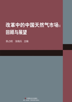 改革中的中国天然气市