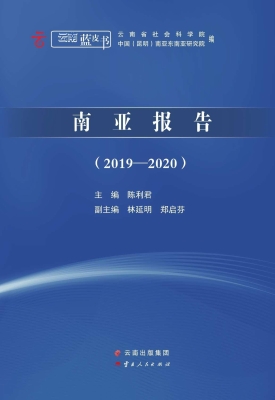 南亚报告（2019-2020）